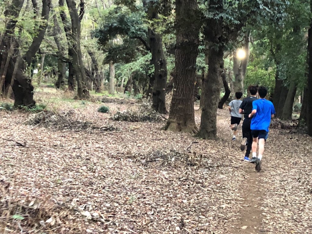 砧公園のクロスカントリーコース